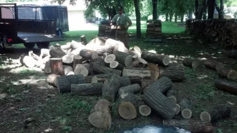 [Hearth.com] Good load today