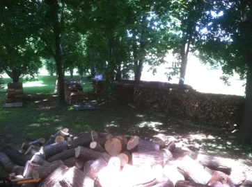 [Hearth.com] Good load today