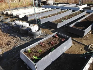 [Hearth.com] Did some garden work past few days