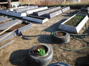 [Hearth.com] Did some garden work past few days