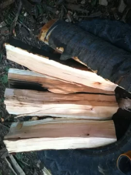 [Hearth.com] Wood ID