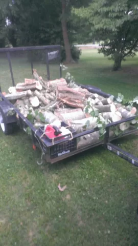 [Hearth.com] Free wood!!