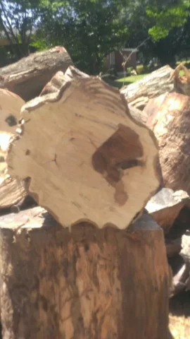 [Hearth.com] Free wood!!