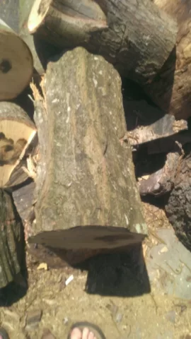 [Hearth.com] Free wood!!