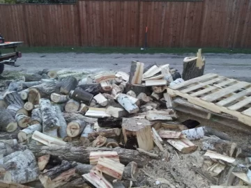 [Hearth.com] Last nights exerecise