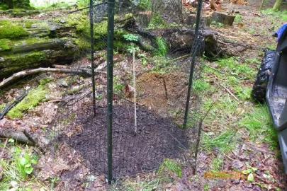 [Hearth.com] Oak Planting Question