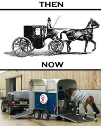 then-now-horses.jpg