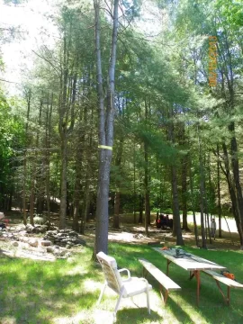 [Hearth.com] Mother Nature = Shoulder Season Wood