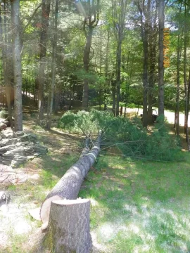 [Hearth.com] Mother Nature = Shoulder Season Wood