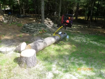[Hearth.com] Mother Nature = Shoulder Season Wood