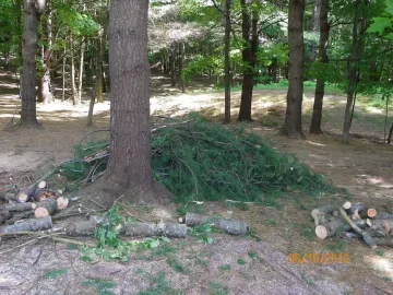 [Hearth.com] Mother Nature = Shoulder Season Wood