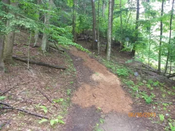 [Hearth.com] Mother Nature = Shoulder Season Wood