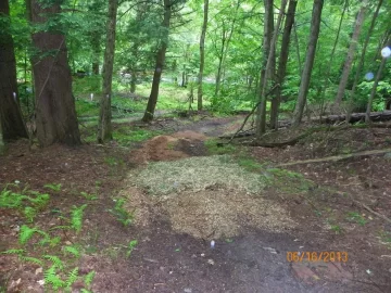 [Hearth.com] Mother Nature = Shoulder Season Wood