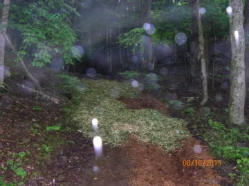 [Hearth.com] Mother Nature = Shoulder Season Wood
