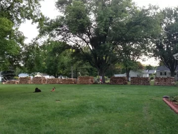 [Hearth.com] Progress report on my wood stacks