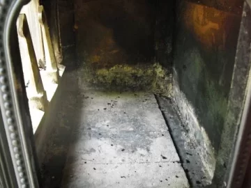 [Hearth.com] Looking at used Fireview 205 (pics inside.)  Advice?