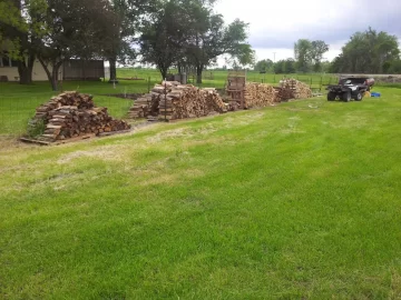 [Hearth.com] Progress on wood stacks