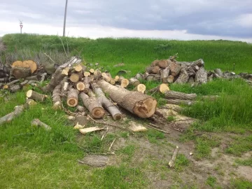 [Hearth.com] Progress on wood stacks