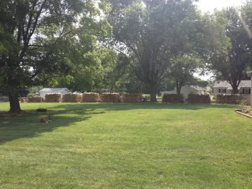 [Hearth.com] Progress report on my wood stacks
