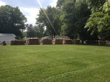 [Hearth.com] Progress report on my wood stacks