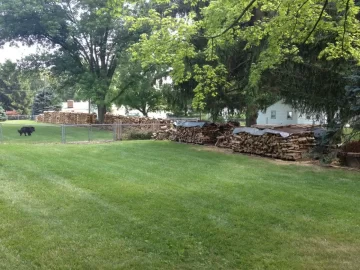 [Hearth.com] Progress report on my wood stacks