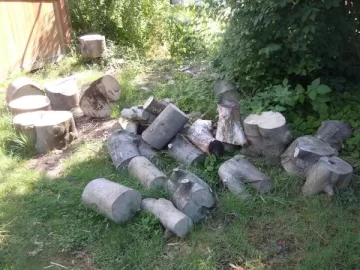 [Hearth.com] Not so western wood species to ID