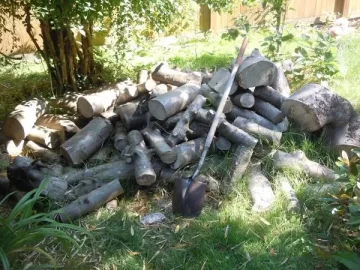 [Hearth.com] Not so western wood species to ID