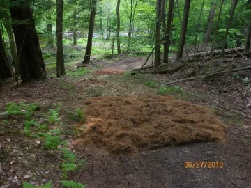 [Hearth.com] Trail Maintenance