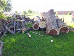 Just a small load of Elm