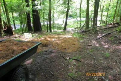 [Hearth.com] Trail Maintenance