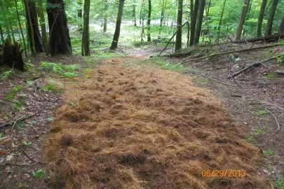 [Hearth.com] Trail Maintenance