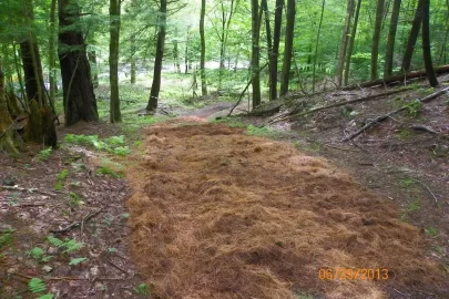 [Hearth.com] Trail Maintenance
