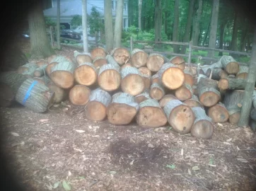 [Hearth.com] James Bond had P.... Galore! Rookie has Red Oak Galore!
