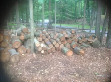 [Hearth.com] James Bond had P.... Galore! Rookie has Red Oak Galore!
