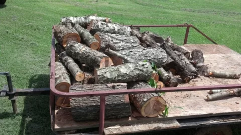 [Hearth.com] Another cherry down and wood ID plz