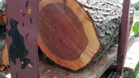[Hearth.com] Another cherry down and wood ID plz