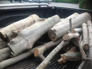 [Hearth.com] James Bond had P.... Galore! Rookie has Red Oak Galore!
