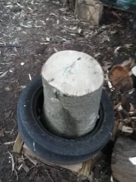 [Hearth.com] New scrounge - possible Holly but I'm not sure....