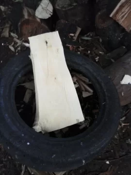 [Hearth.com] New scrounge - possible Holly but I'm not sure....