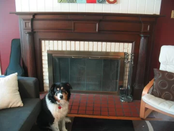 [Hearth.com] Chimney can't be lined for our fireplace?