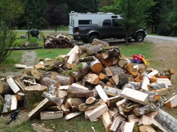 [Hearth.com] Finally found a use for Cottonwood