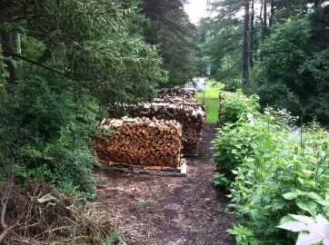 [Hearth.com] My Dad's stacks.....
