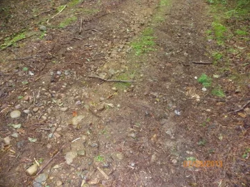 [Hearth.com] Trail Maintenance