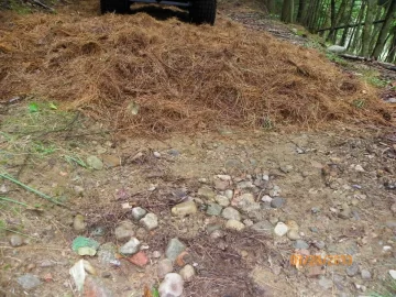 [Hearth.com] Trail Maintenance