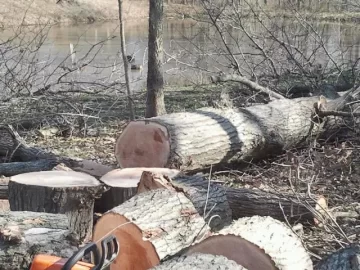 [Hearth.com] wood ID?