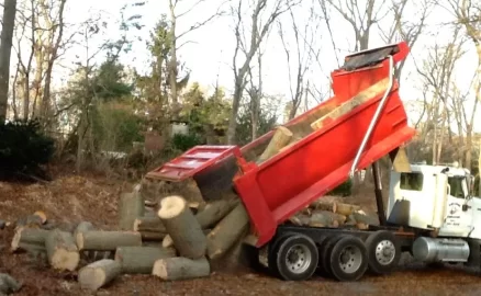 [Hearth.com] Moveable roof for top covering wood