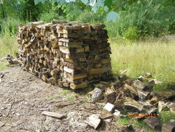 Sad looking wood pile
