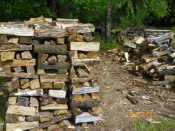 Sad looking wood pile