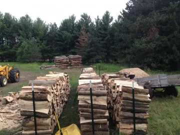 [Hearth.com] Wood processed today