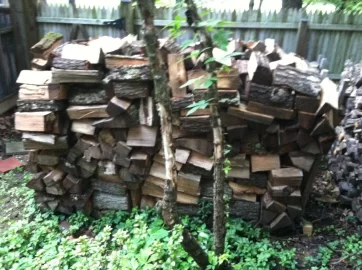 [Hearth.com] What to do with the uglies....